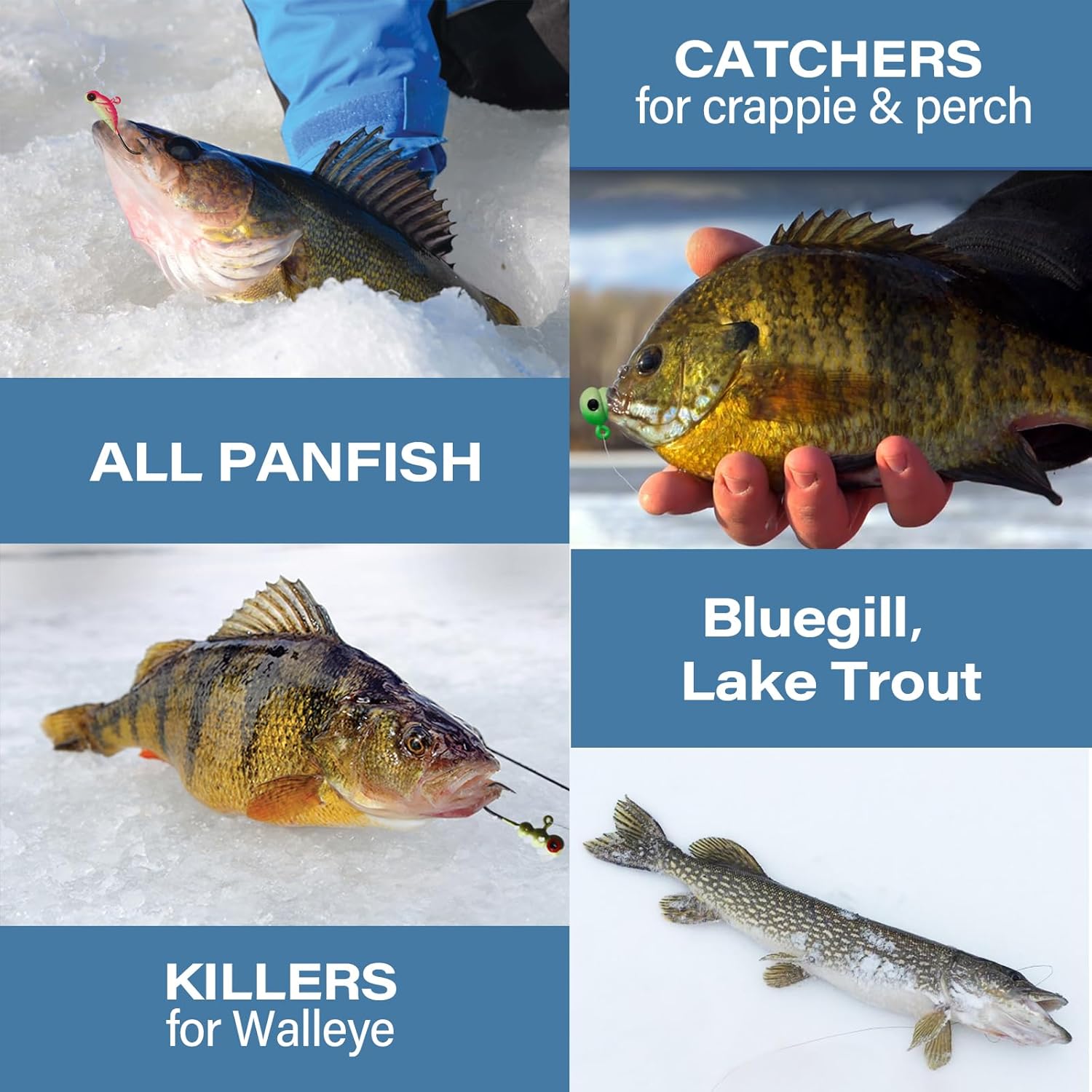 Leuchtendes Eisangel-Jig-Set